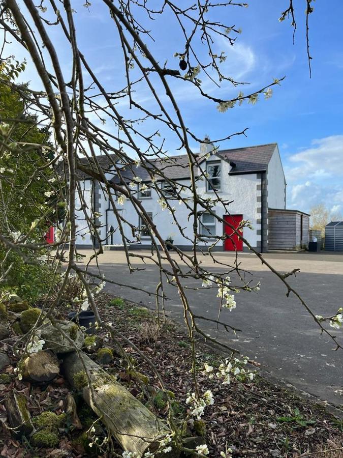 Willow House Bed & Breakfast And Orchard Studios Self Catering Limavady Exterior foto